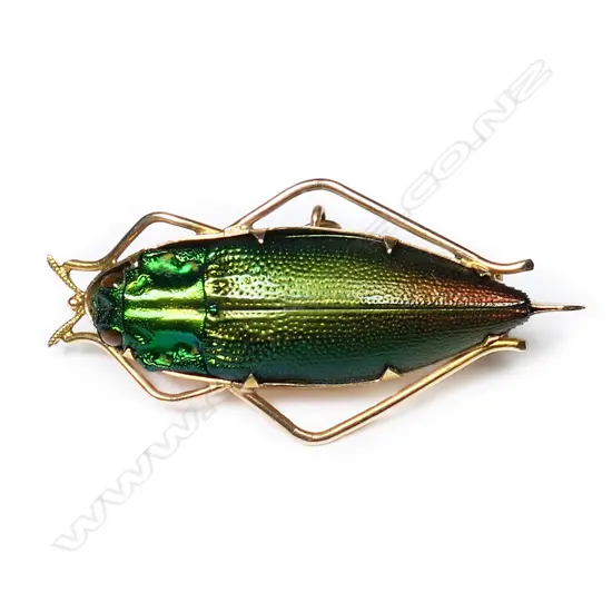 Jones Bros (Auckland) 15ct gold and scarab beetle brooch,